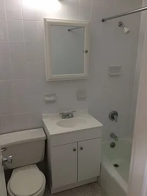 Rented by Eric Goodman Realty Corp | media 11