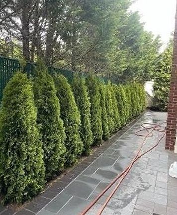 2nd image of 53 Vernon Ave