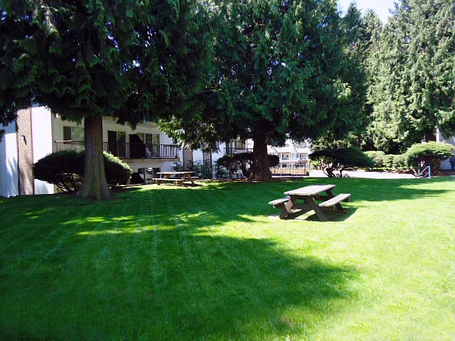 33292 Robertson Ave — Photo 7
