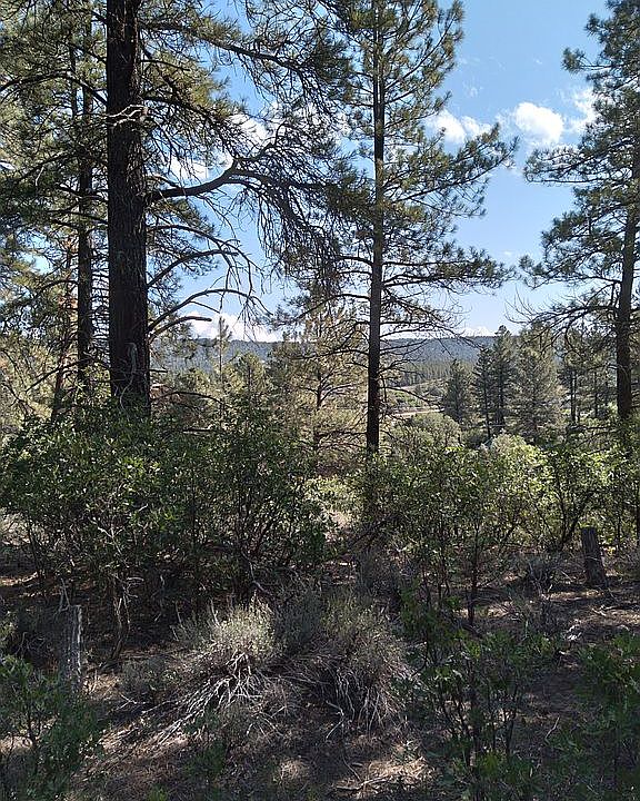 View from site.