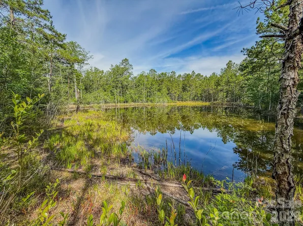 0 Highway 1, Patrick, SC 29584