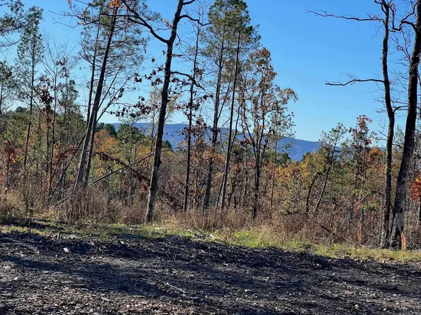 Nella Community Imogene Rd, Waldron, AR 72958