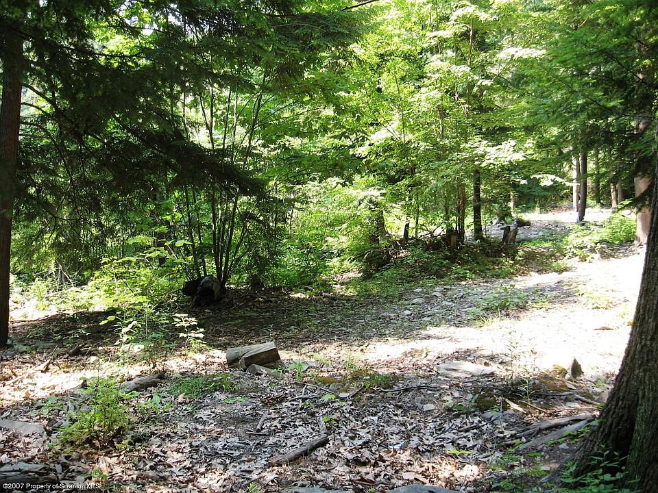 2nd image of Hillbilly Village Treetop Rd