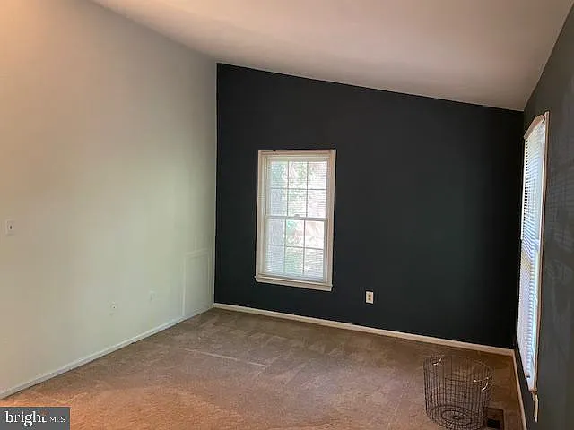 1117 Wildpark Ave — Photo 16