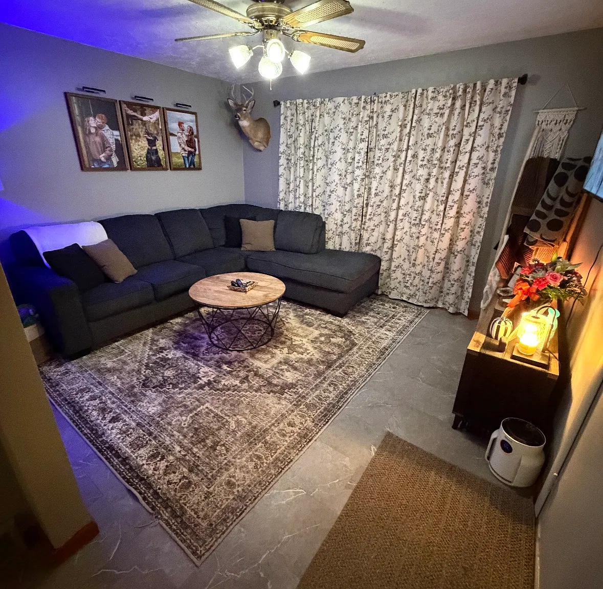 1 bed, $800 — Photo 2