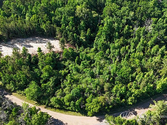 5th image of 1002 Millsaps Rd