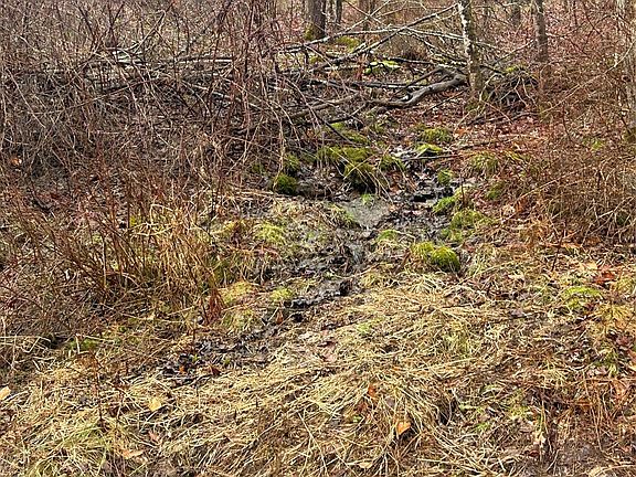 3rd image of 395 Back Shandelee Road