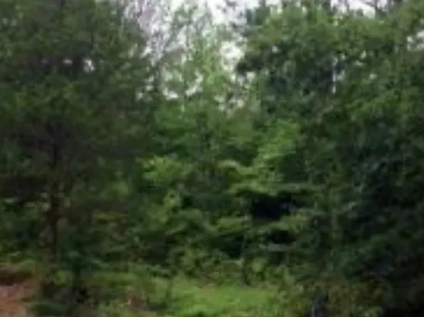 0 Knob Hill Dr, Waverly, TN 37185