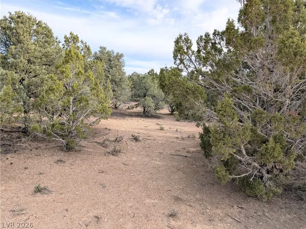 LOT 1 C Side Hill Pass, Pioche, NV 89043