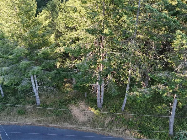 19 Spur Ct, Whitethorn, CA 95589