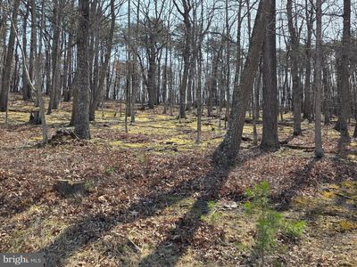 Hollybush Ln Lot 3-B, Berkeley Springs, WV, 25411