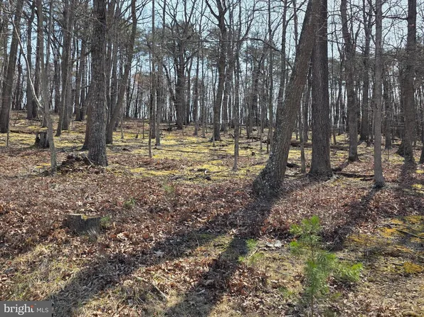 Hollybush Ln Lot 3-B, Berkeley Springs, WV 25411
