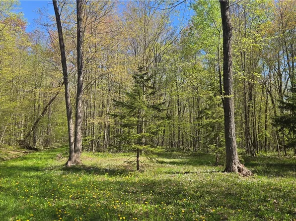 N 900 Joes Road, Conrath, WI 54731