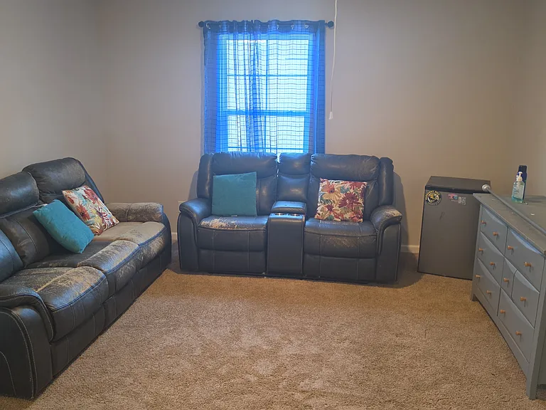 329 Sheila Silver Dr — Photo 7