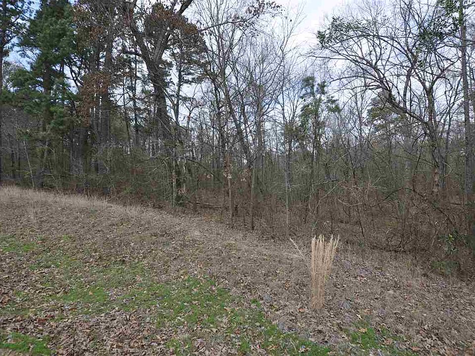 1st image of 385 Possum Holw