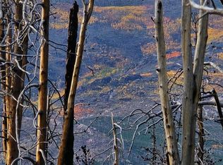 75 Sheep Horn Ct, Bellvue, CO 80512