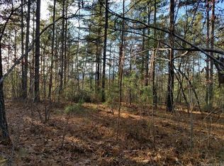 0 Loblolly Ln #14, Mill Spring, NC 28756