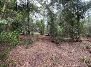 122 Glenside St Lot 104, Georgetown, FL 32139