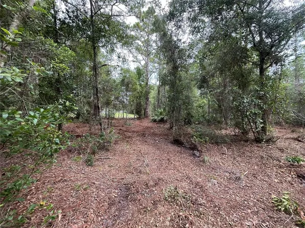 122 Glenside St Lot 104, Georgetown, FL 32139
