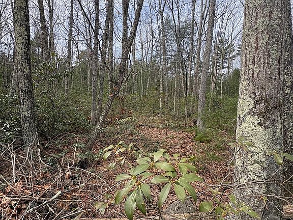 3rd image of Bennett Road