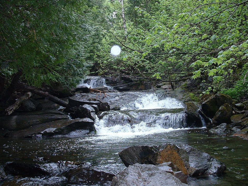 4-tier waterfall on Morrill Brook