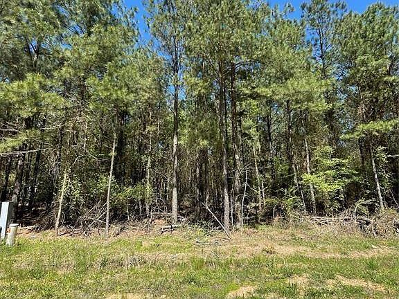 4th image of 399 Camp Ranch Rd #91