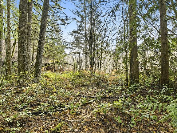 3rd image of 65344 E Sandy River Ln