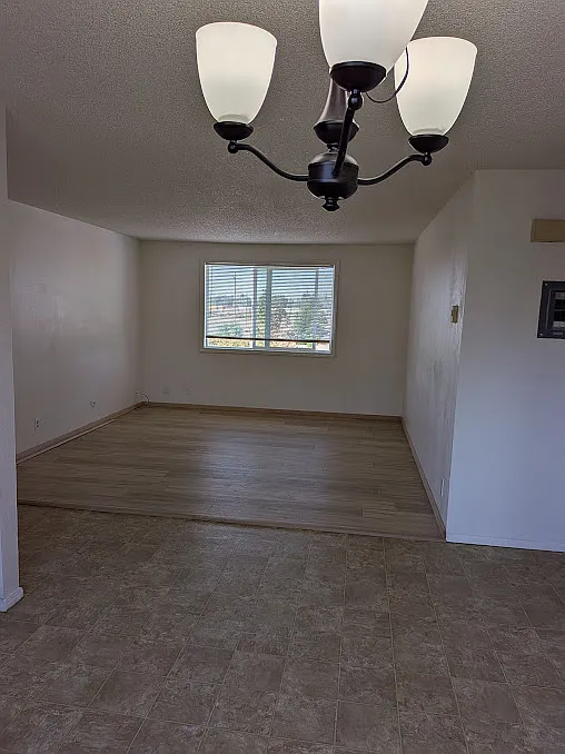 2 bed, 790 sqft, $1,150 — Photo 3