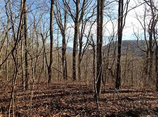 99999 Old Charlotte Hwy, Fairview, NC 28730