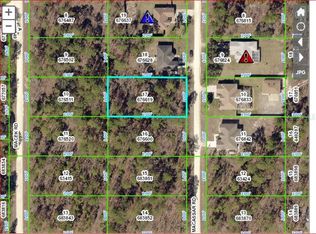 18033 Macassar Rd, Brooksville, FL 34614