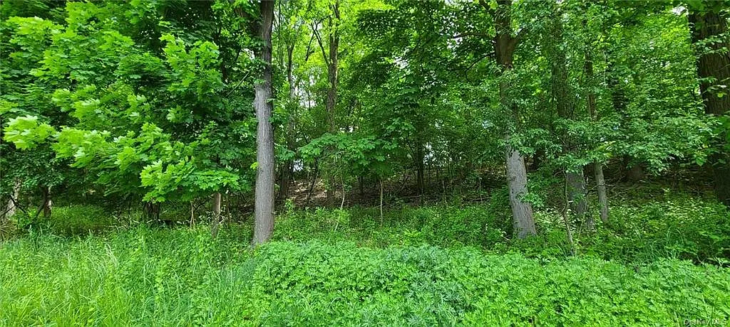 236 E End Rd photo 1