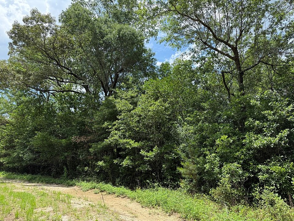 2nd image of Old Faceville Rd