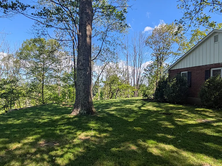 Side yard with large trees