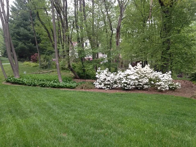 7413 Skyline Dr — Photo 45