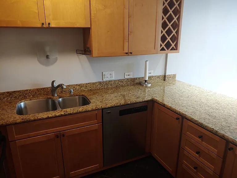 233 E Erie St #2409 — Photo 11