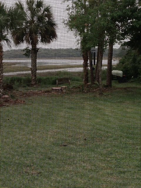 2nd image of 325 Island Landing Dr