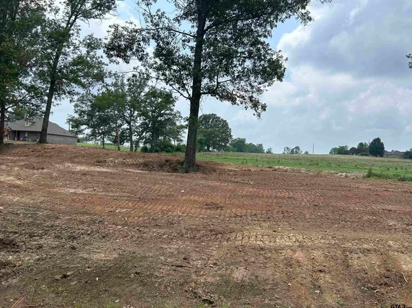 County Road 2169, Troup, TX 75789