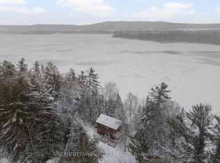 164 Coulonge Lake Trl, Whitewater Region, ON K0J 2L0