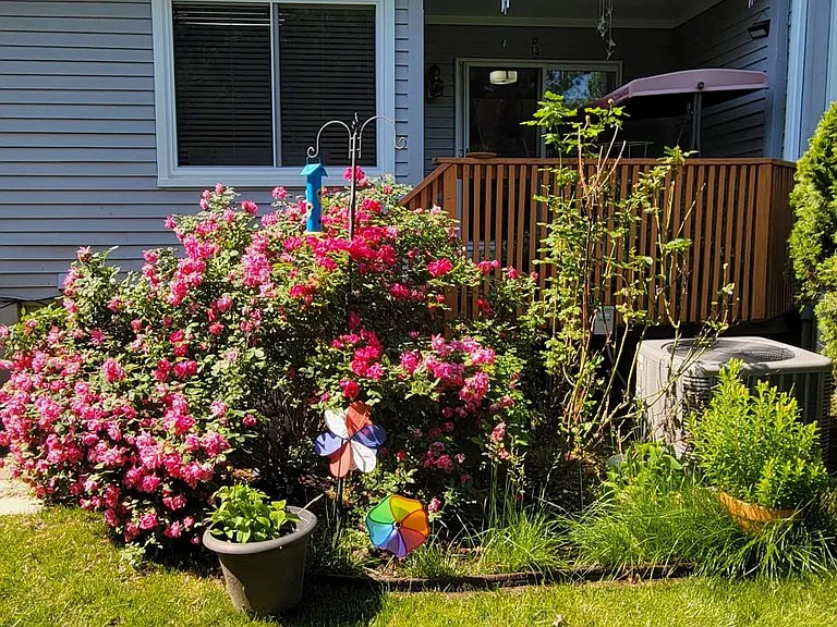 13 Linda Ct — Photo 19