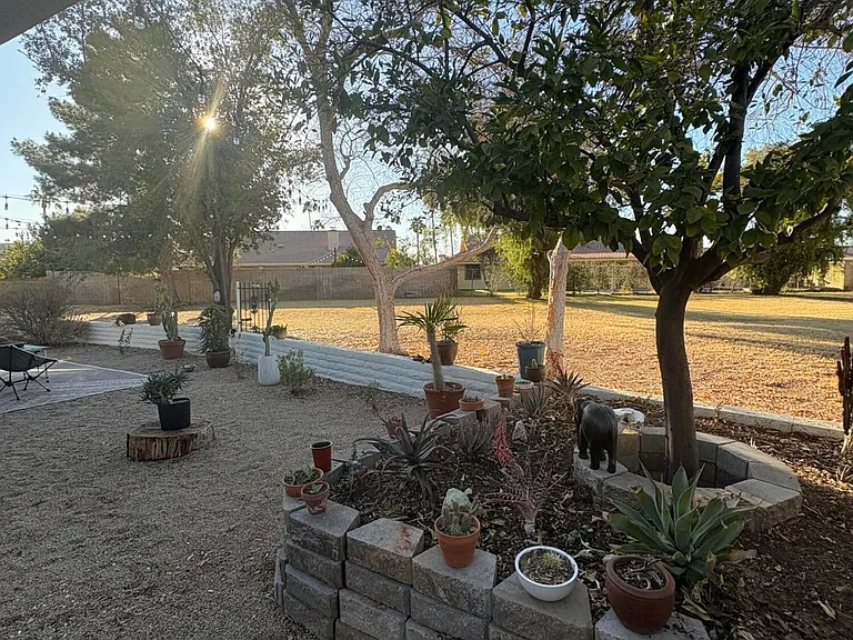Backyard garden and backyard