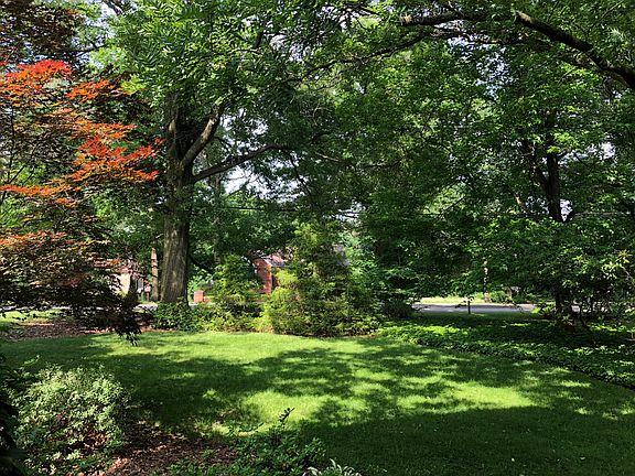 View from front door! 