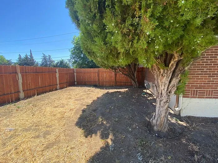 1100 Sutro St — Photo 35