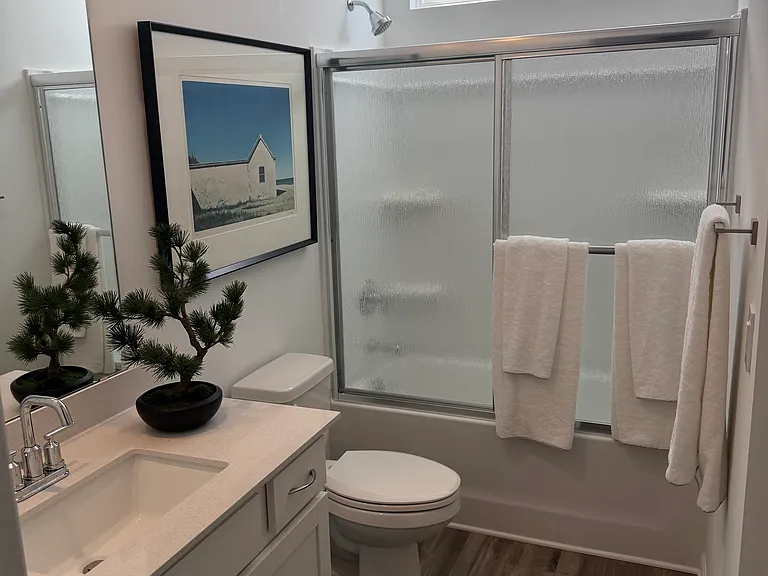 Downstairs guest bathroom. This bathroom has also second access from second downstairs bedroom