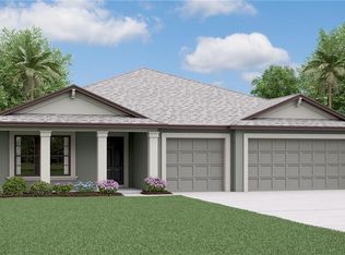 14047 Arbor Pines Dr, Riverview, FL 33579