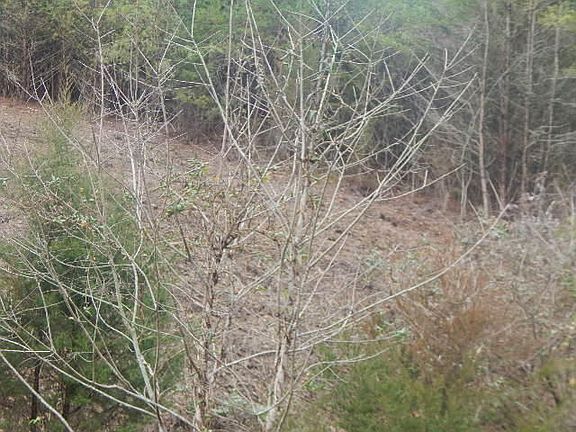 3rd image of Landover Way