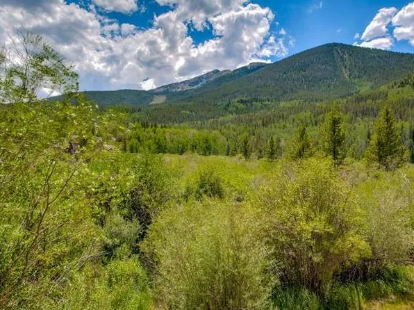855 S 5th Avenue UNIT 176, Frisco, CO 80443