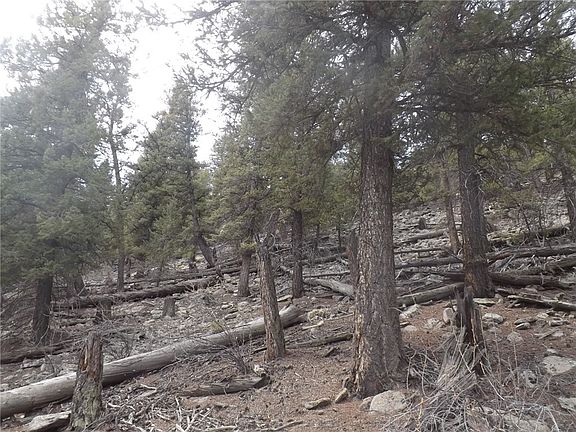 4th image of TBD Trout Creek Lane