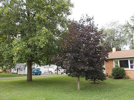 3rd image of 127 Sunset Dr