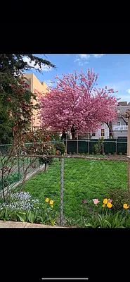 Rented by Corcoran | media 17