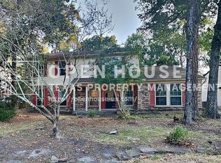 46 Berryfrost Ln, Spring, TX 77380
